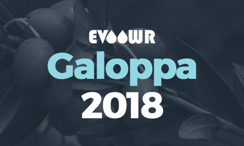 Galoppa : sacrée meilleure huile d’olive extra vierge de France en 2018